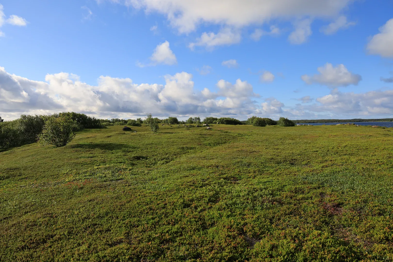 The southern-most seashore.