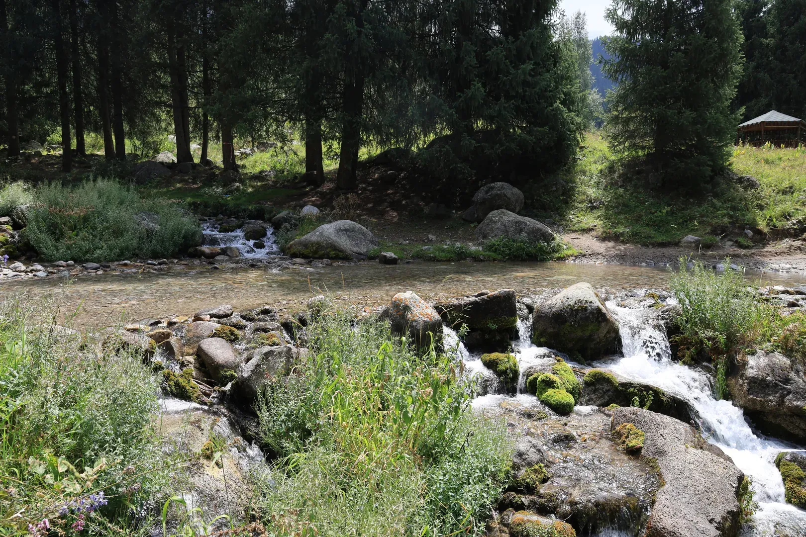 Some mountain streams are shallow and run right across the road.