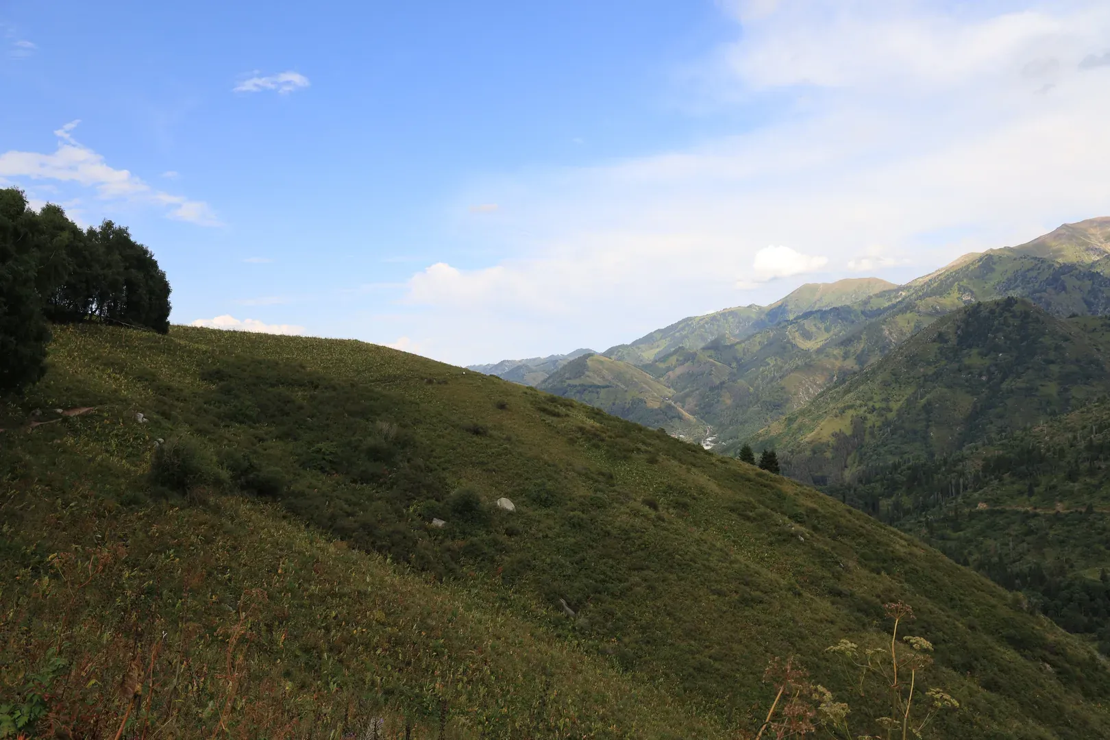Part of the eastern trail to Kok Zhailau is rather flat and has amazing views of both the mountains and the city.
