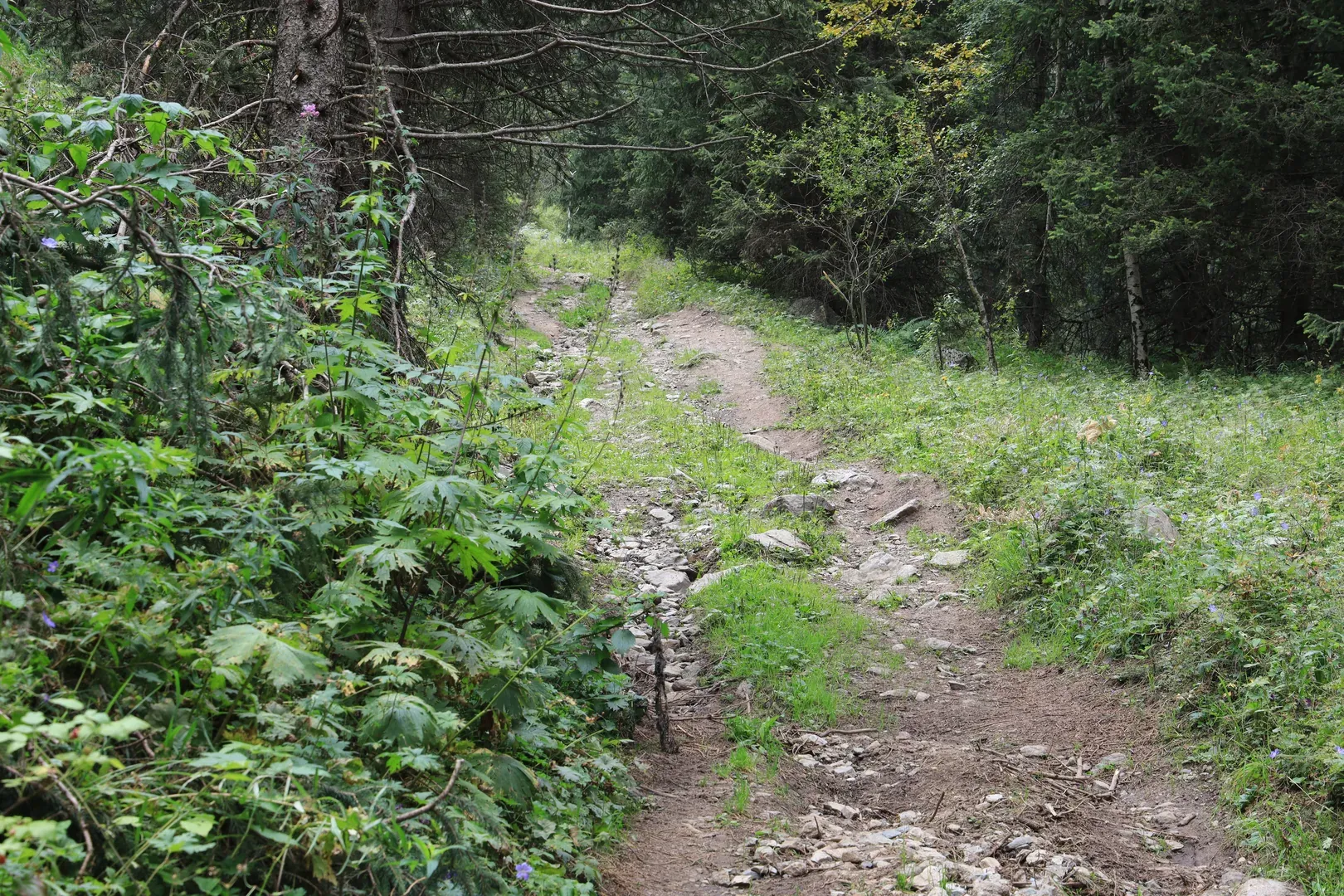 And most of the route follows an old road to a small camping site.
