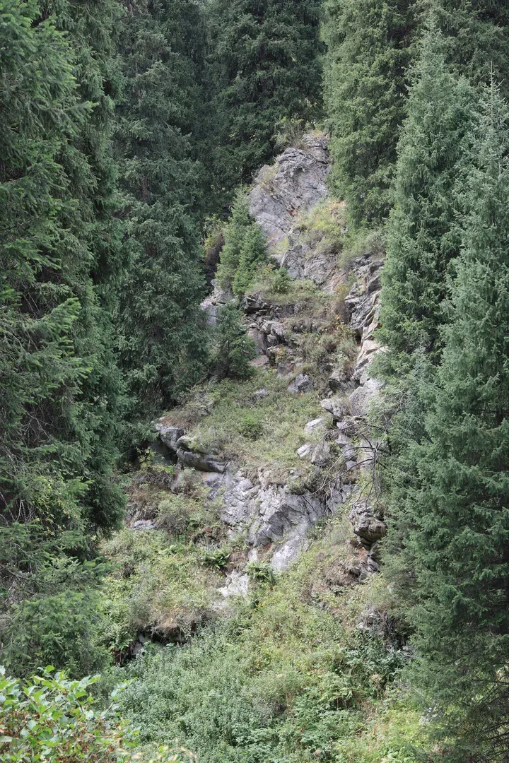 A gorgeous rock in the middle of the trees.
