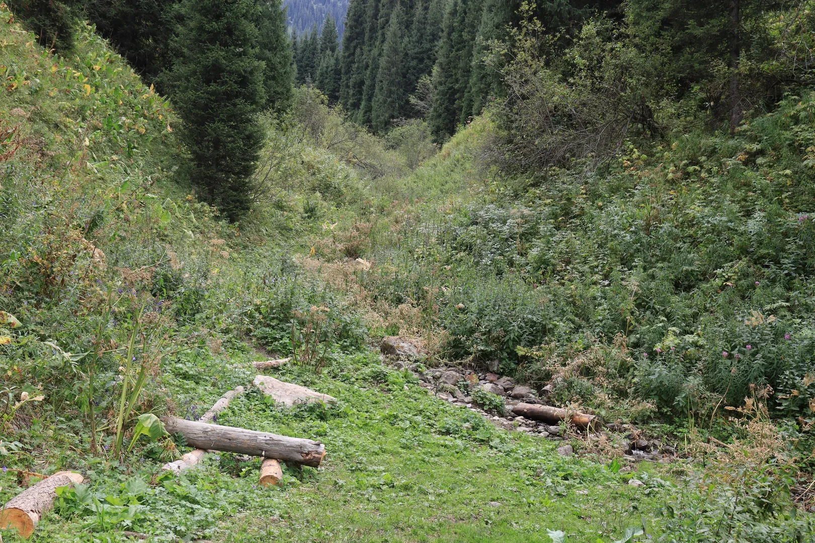 The camp site where the road ends and a steep climb towards the pass begins.