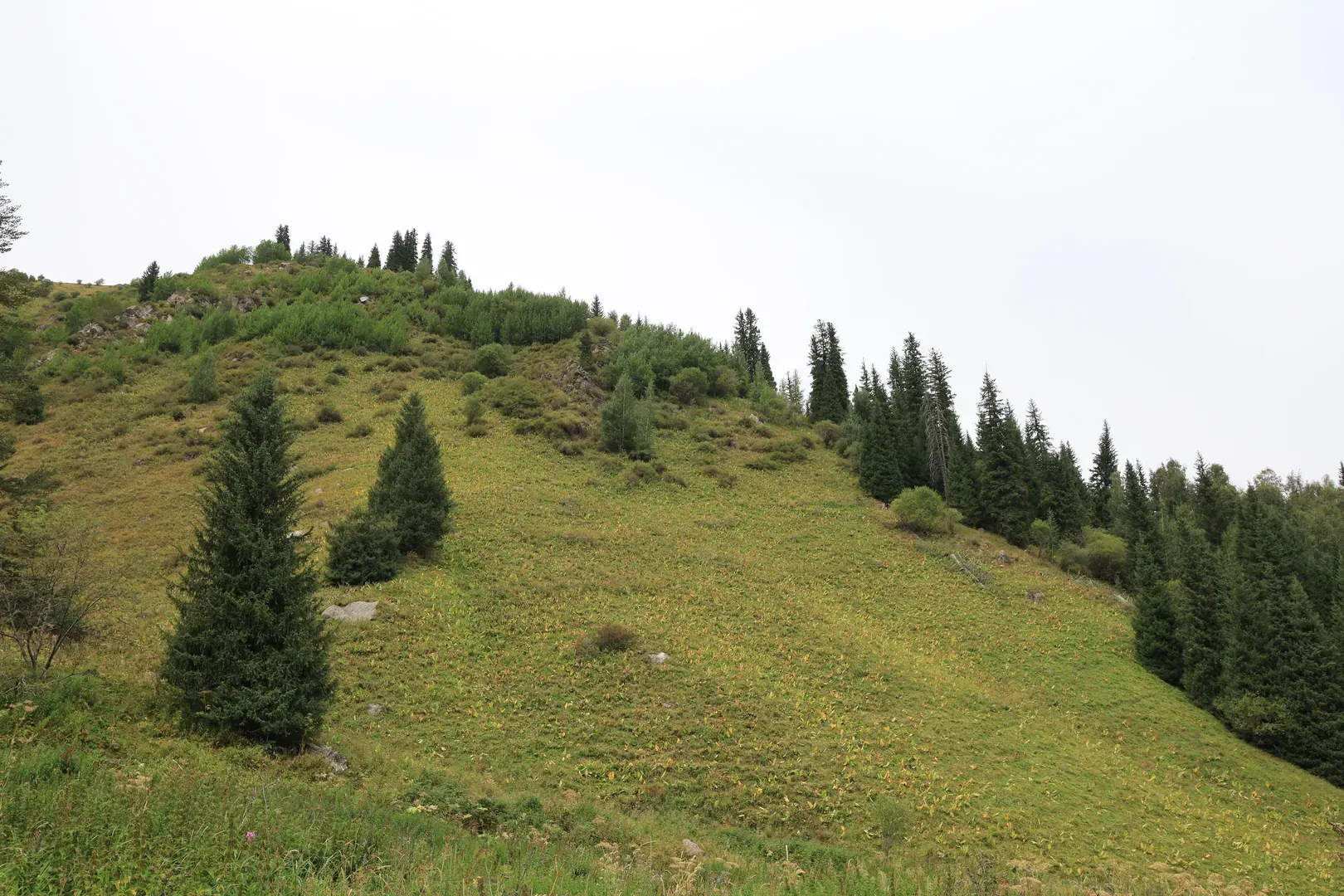 A view up at Observation Mountain, with the Gvardeysky Pass to the left.
