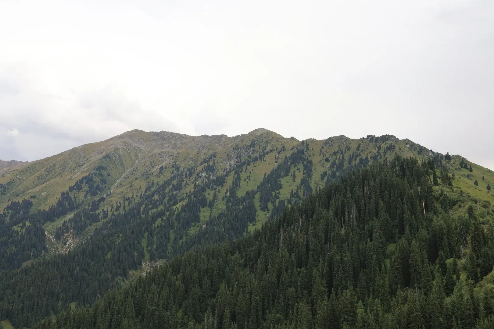 A view of the mountain range to the south-east. There was a visible track, but I am unsure how far it goes.