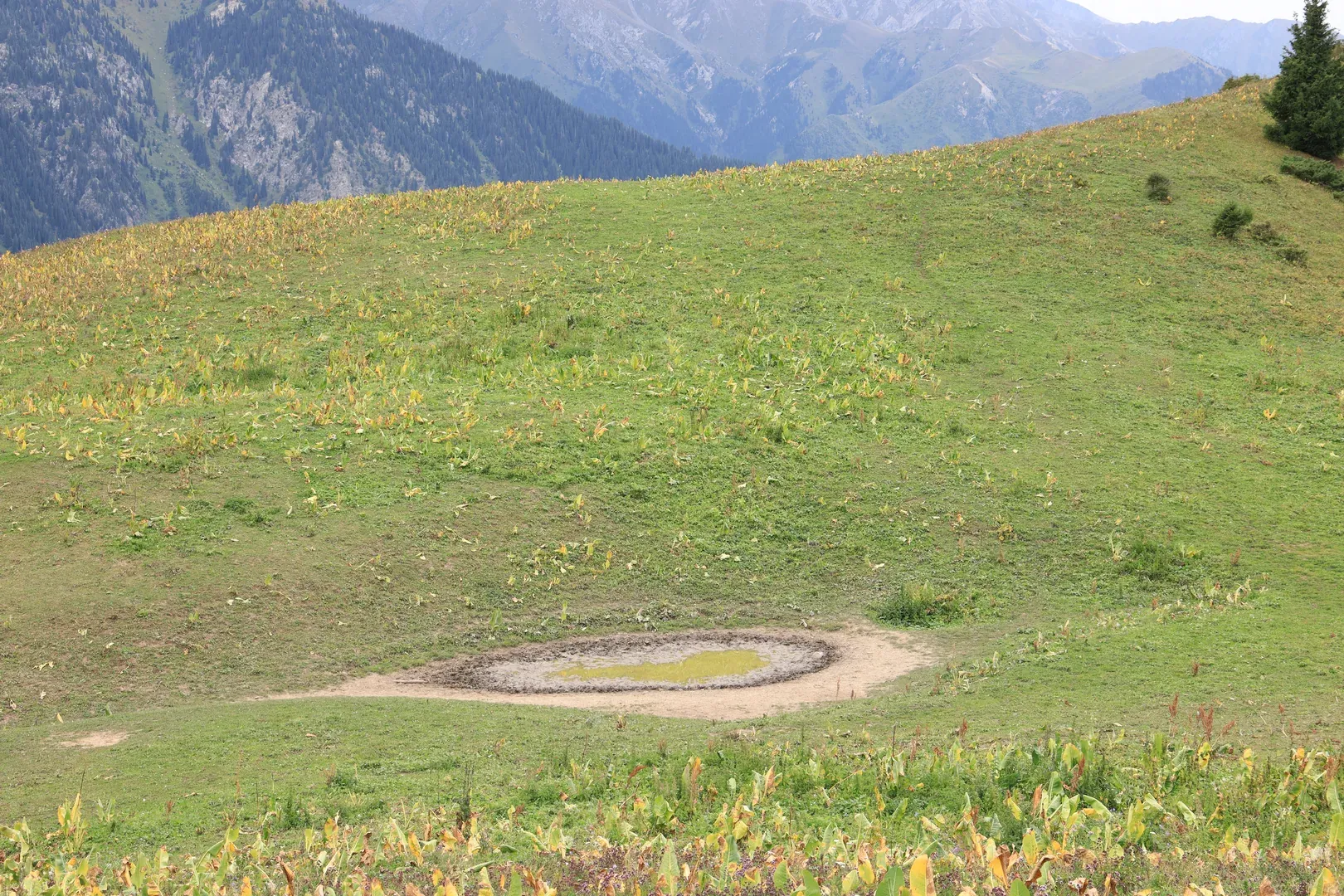 There is a mountain puddle (or a small lake) at the top of the pass. Similar mountain lakes are not a common sight, but there is at least one more on another mountain that is more popular and has a name: Boar's Lake.