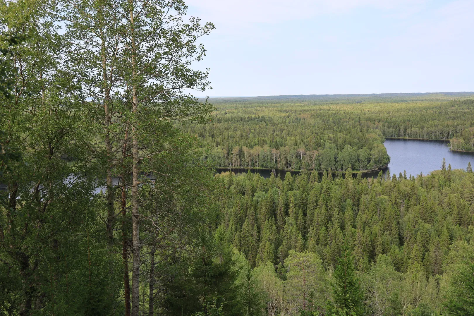 And this is from the skete on Bolshoy Solovetsky Island.