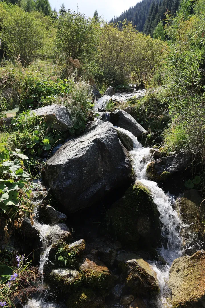But first, a view of a small river with waterfalls near the trail.