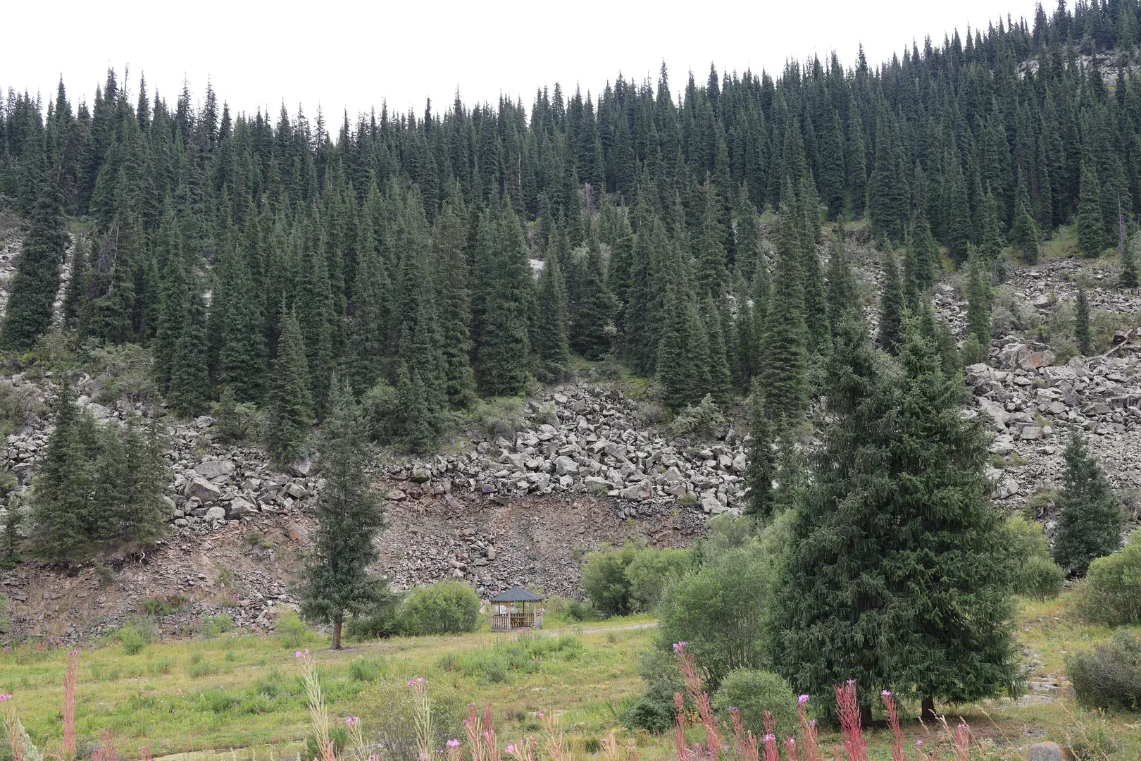 As you climb higher into the mountains, the forest mixes with rocky slopes, giving this amazing view of almost defiant trees living where the rocks could easily crush them.
