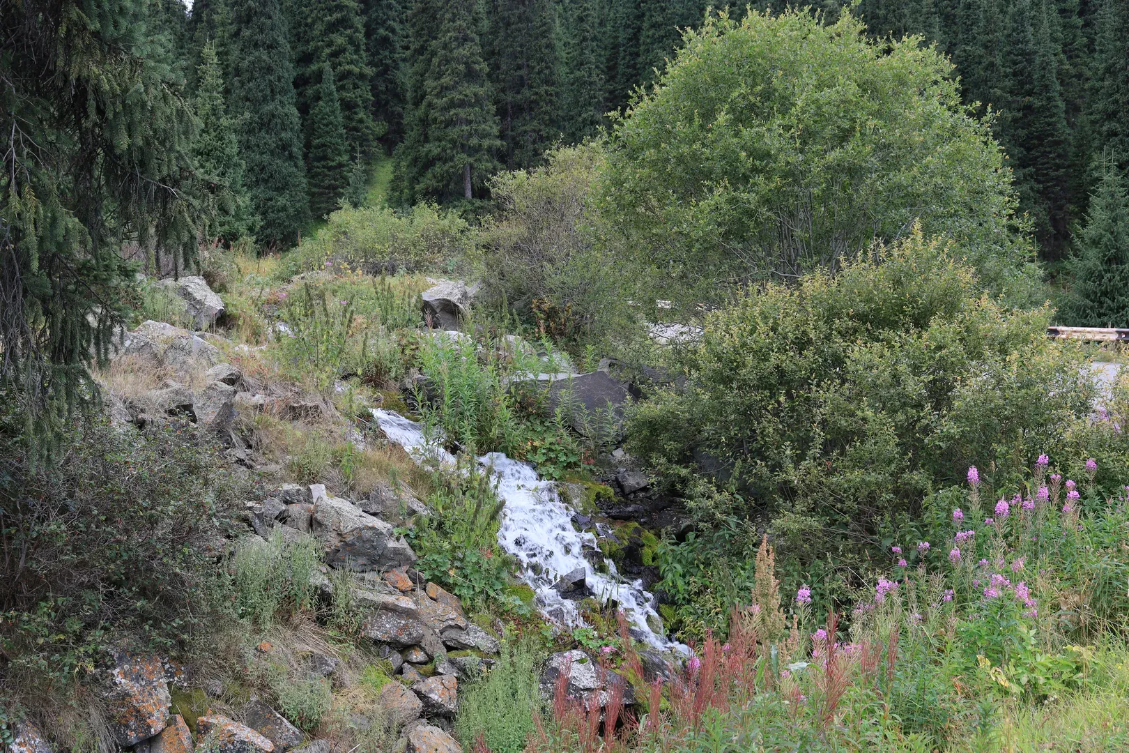 More small waterfalls. They sometimes give off the vibe of a small garden with artificial waterfalls.
