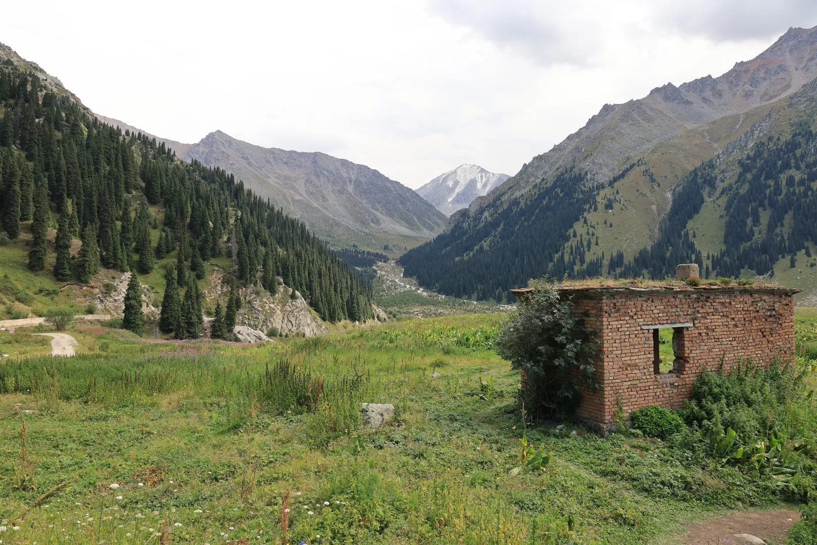 A meadow where most travellers rest. It is unofficially called the viewpoint.