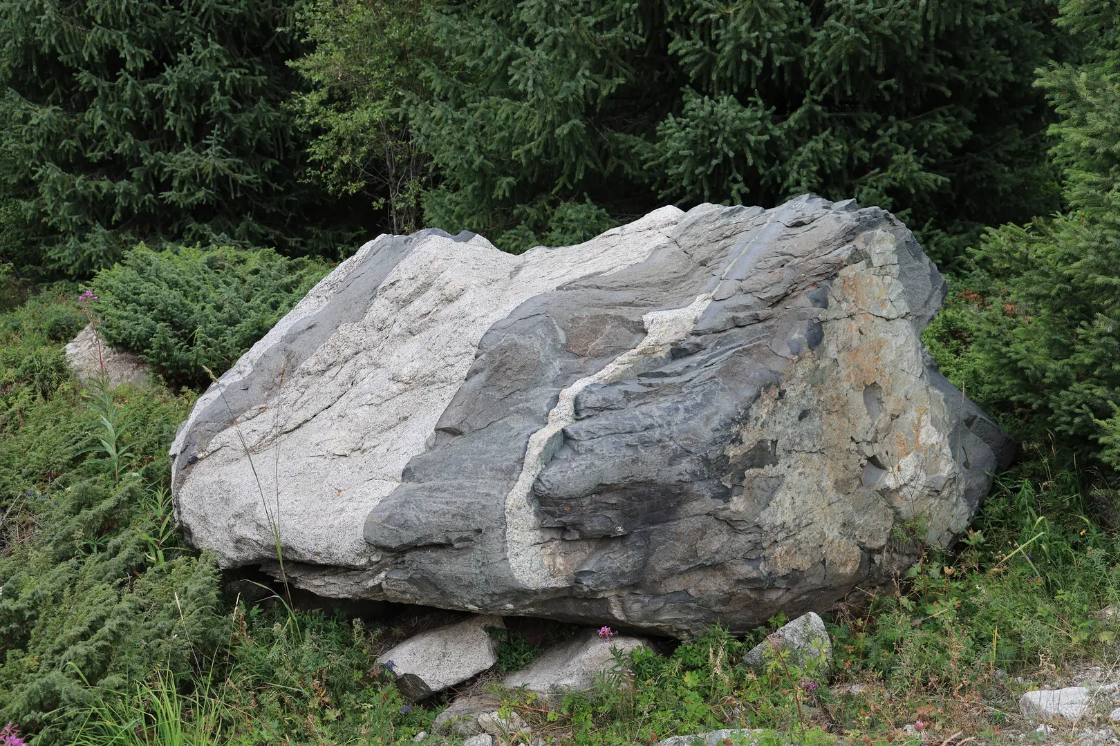 Some rocks look like the work of an artist. We joked that you can almost see the artist's intentions in those colours.