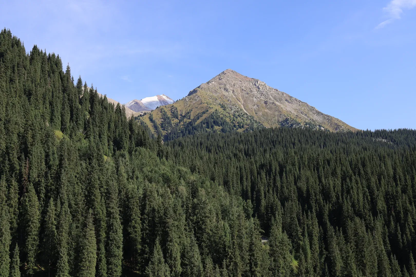 Skalisty peak, with glaciers visible beyond it.