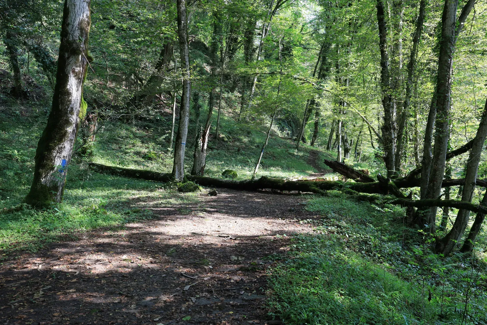 There is a lot of space available for camping. There are also some restrooms and covered gazebos. But there is no centralised sewage system, so you can imagine the smell.