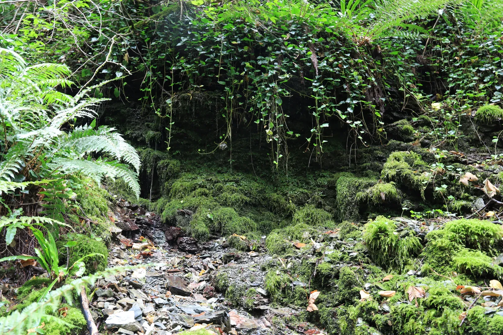 There was a feeling that almost every hummock was oozing water.