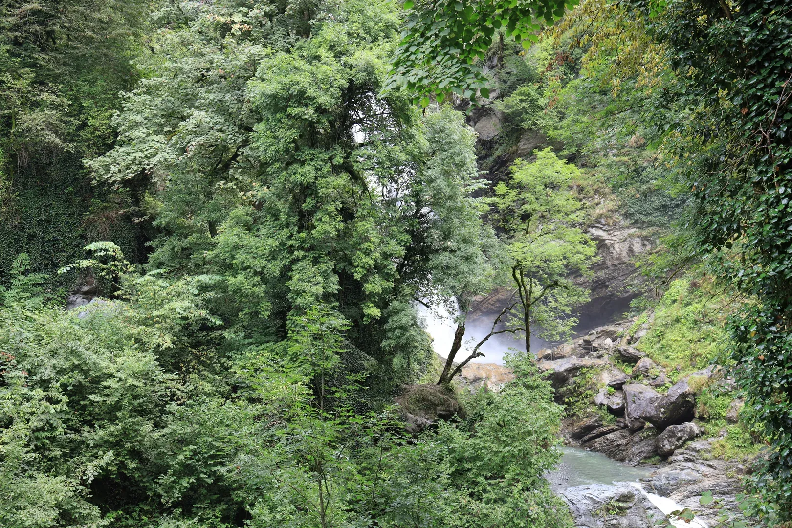 Ninoskhevi waterfall appeared around the bend. The sound of water falling forty metres was audible long before that. But seeing it was a whole other experience.