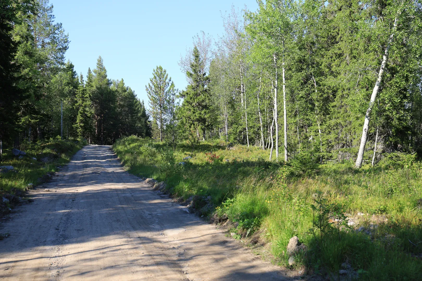 A typical sight of the road near the settlement. This one is to the north, leading to other sightseeing places: the boat station, the botanical garden, the sketes, and further.