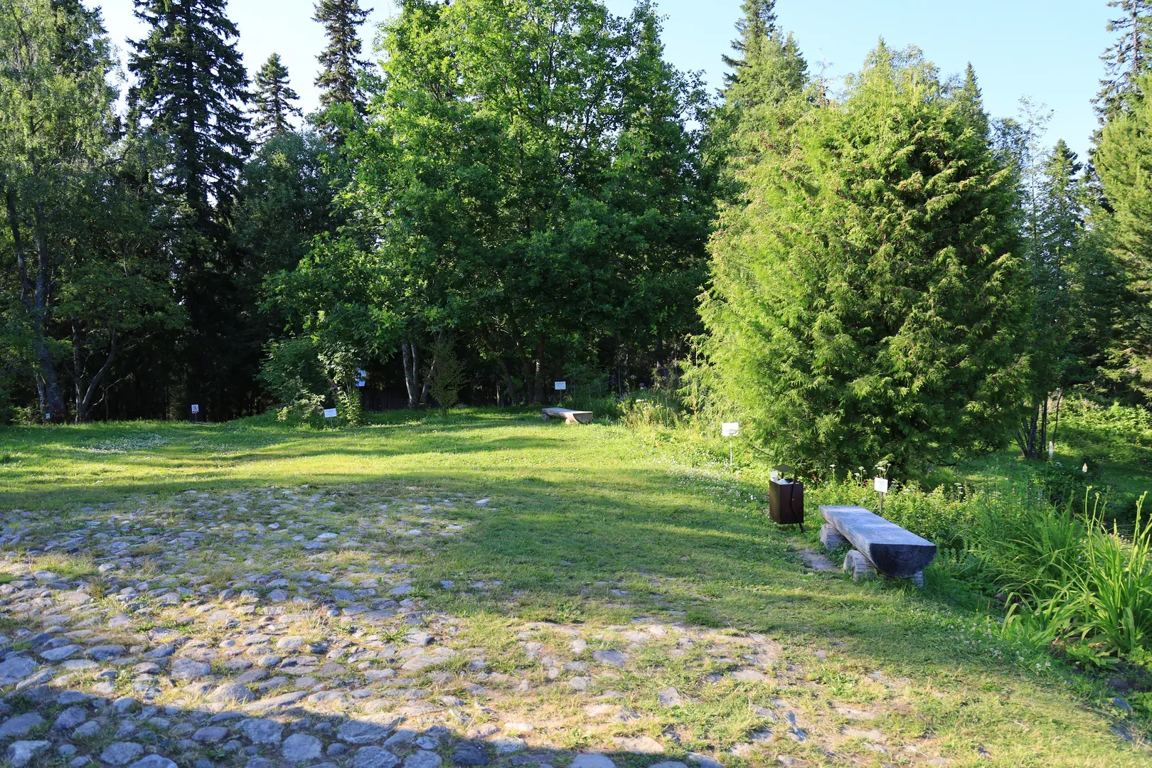 And you can clearly see the stones that were used for the square and some roads.